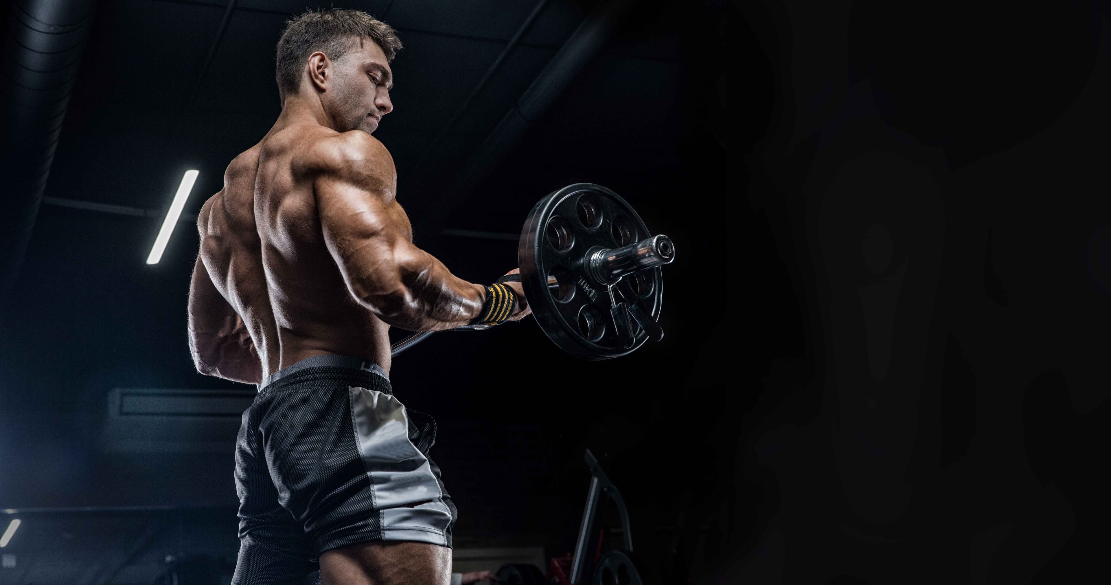 MassFit Ultimate GYM Center 